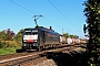 Siemens 21489 - SBB Cargo "ES 64 F4-282"
02.10.2015 - Bickenbach
Kurt Sattig