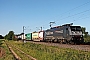 Siemens 21491 - SBB Cargo "ES 64 F4-284"
13.06.2019 - Buggingen
Tobias Schmidt