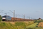 Siemens 21498 - DB Cargo "ES 64 F4-451"
08.07.2018 - Franklinów
Lucas Piotrowski