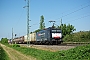 Siemens 21502 - SBB Cargo "ES 64 F4-102"
05.08.2015 - Auggen
Vincent Torterotot