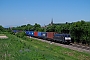 Siemens 21502 - SBB Cargo "ES 64 F4-102"
27.05.2017 - Köndringen
Vincent Torterotot