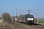 Siemens 21507 - DB Cargo "ES 64 F4-455"
22.03.2019 - Hohe Börde-Niederndodenleben
Alex Huber