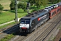 Siemens 21509 - SBB Cargo "ES 64 F4-107"
06.09.2014 - Müllheim (Baden)Vincent Torterotot