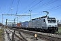 Siemens 21511 - SBB Cargo "ES 64 F4-108"
16.03.2023 - Oberruti
Michael Krahenbuhl