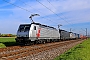 Siemens 21511 - TXL "189 108"
26.04.2023 - Bobenheim-Roxheim
Wolfgang Mauser