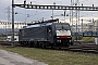 Siemens 21511 - Captrain "ES 64 F4-108"
__.__.2010 - Muttenz, Rangierbahnhof
Michael Goll