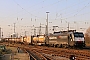 Siemens 21521 - SBB Cargo "ES 64 F4-115"
10.03.2016 - Basel, Badischer BahnhofTheo Stolz