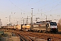 Siemens 21521 - SBB Cargo "ES 64 F4-115"
10.03.2016 - Basel, Badischer Bahnhof
Theo Stolz