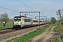 Siemens 21569 - SNCB "1838"
14.04.2012 - Westrem
Mattias Catry