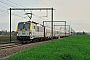 Siemens 21574 - SNCB "1843"
05.11.2011 - Torhout
Mattias Catry