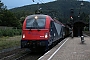 Siemens 21604 - FUC "190 301"
14.09.2017 - Villach, Bahnhof Villach-WarmbadThomas Wohlfarth