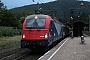 Siemens 21604 - FUC "190 301"
14.09.2017 - Villach, Bahnhof Villach-Warmbad
Thomas Wohlfarth