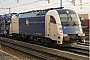 Siemens 21605 - WLC "183 704"
02.10.2012 - VenloWilco Trumpie