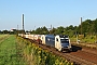 Siemens 21605 - WLC "1216 951"
08.08.2014 - Leipzig-Wiederitzsch
Daniel Berg