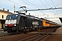 Siemens 21615 - LokoTrain "ES 64 F4-841"
05.11.2014 - Zabreh na Morave
Marek Stepanek