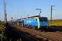 Siemens 21616 - PKP Cargo "EU45-802"
07.09.2013 - Großkorbetha
Marcus Schrödter