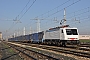 Siemens 21627 - CFI "E 189 823"
14.02.2014 - Cava Tigozzi
Alessandro Destasi