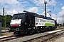 Siemens 21631 - TXL "ES 64 F4-287"
15.08.2015 - Augsburg, Bahnpark
Thomas Girstenbrei