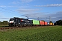 Siemens 21632 - SBB Cargo "ES 64 F4-288"
05.10.2017 - Waghäusel
Wolfgang Mauser