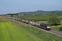 Siemens 21633 - SBB Cargo "ES 64 F4-289"
14.09.2019 - Schliengen
Vincent Torterotot