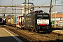 Siemens 21637 - SBB Cargo "ES 64 F4-084"
16.02.2017 - PrattelnPeider Trippi