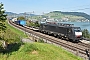 Siemens 21640 - SBB Cargo "ES 64 F4-087"
08.09.2021 - Arth
Peider Trippi