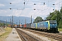 Siemens 21643 - PKP Cargo "EU45-153"
26.07.2013 - Eichberg
Michal Demcila