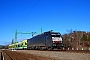 Siemens 21646 - LTE "ES 64 F4-156"
12.01.2014 - Between Verőce and Vác
Tamás Tokai