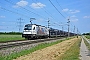 Siemens 21671 - WLC "1216 955"
01.06.2017 - Trautmannsdorf an der Leitha-Sarasdorf
Marcus Schrödter