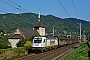 Siemens 21672 - AWT "183 714"
10.09.2016 - Ústí nad Labem (Vaňov)
Maarten van der Velden