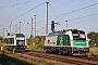 Siemens 21675 - STB "183 717"
08.08.2015 - Stendal
Thomas Wohlfarth