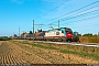 Siemens 21678 - InRail "190 313"
09.09.2015 - Rovigo
Riccardo Fogagnolo