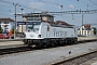 Siemens 21691 - Siemens "193 901"
09.07.2013 - Solothurn
Thomas Logoz