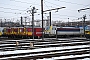 Siemens 21736 - SNCB "1896"
25.01.2013 - Liège-Kinkempois
Harald Belz