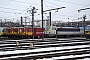 Siemens 21736 - SNCB "1896"
25.01.2013 - Liège-Kinkempois
Harald Belz Siemens 21736 - SNCB "1896"
25.01.2013 - Liège-Kinkempois
Harald Belz
