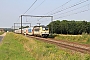 Siemens 21745 - SNCB "1909"
23.07.2021 - Alt-Hoeselt
Philippe Smets