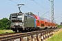 Siemens 21772 - DB Regio "193 801-8"
22.05.2018 - HirschaidPeider Trippi