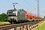 Siemens 21772 - DB Regio "193 801-8"
22.05.2018 - Hirschaid
Peider Trippi