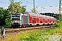 Siemens 21775 - DB Regio "193 804-2"
21.05.2018 - HirschaidPeider Trippi