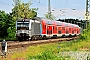 Siemens 21775 - DB Regio "193 804-2"
21.05.2018 - Hirschaid
Peider Trippi