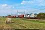 Siemens 21823 - InRail "191 001"
02.06.2020 - Polesella
Riccardo Fogagnolo