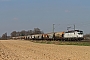 Siemens 21829 - ecco-rail "193 820"
09.04.2015 - Meerbusch-Ossum-BösinghovenNiklas Eimers
