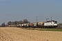 Siemens 21829 - ecco-rail "193 820"
09.04.2015 - Meerbusch-Ossum-Bösinghoven
Niklas Eimers