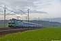 Siemens 21840 - PKP IC  "193 220"
07.11.2019 - Porażyn
Lucas Piotrowski