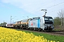 Siemens 21899 - VTG Rail Logistics "193 811-7"
19.04.2016 - Münster (b. Dieburg)
Kurt Sattig