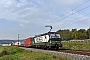 Siemens 21911 - ecco-rail "193 211"
30.09.2017 - Karlstadt (Main)Mario Lippert