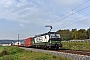 Siemens 21911 - ecco-rail "193 211"
30.09.2017 - Karlstadt (Main)
Mario Lippert