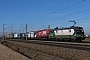Siemens 21916 - FRACHTbahn "193 217"
21.02.2025 - Kissing
Thomas Stadelmann