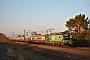 Siemens 21920 - Lokomotion "193 208"
29.12.2015 - Radebeul- Naundorf
Marcus Schrödter