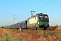 Siemens 21932 - RTB CARGO "193 215"
05.10.2018 - Babenhausen-Hergershausen
Kurt Sattig